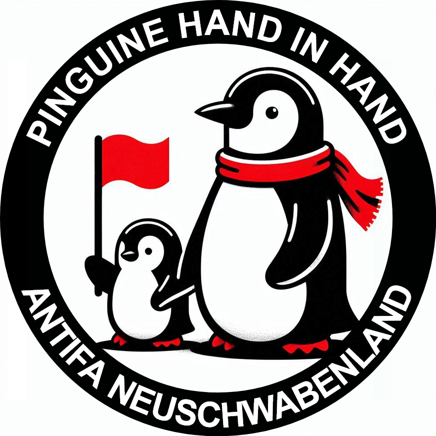 a/0382e45594cf/antifa-neuschwabenland_tr.png