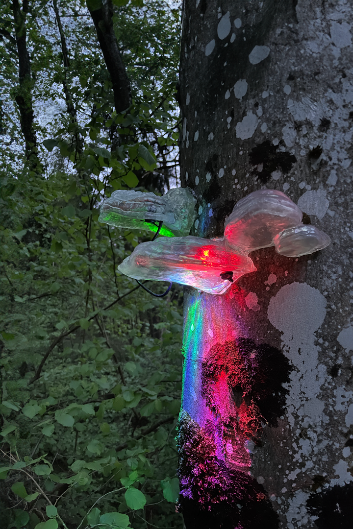 Fahrplan__event__banner_image_alt Machine Vision – Vom Algorithmus zum Baumpilz im digitalen Metabolismus