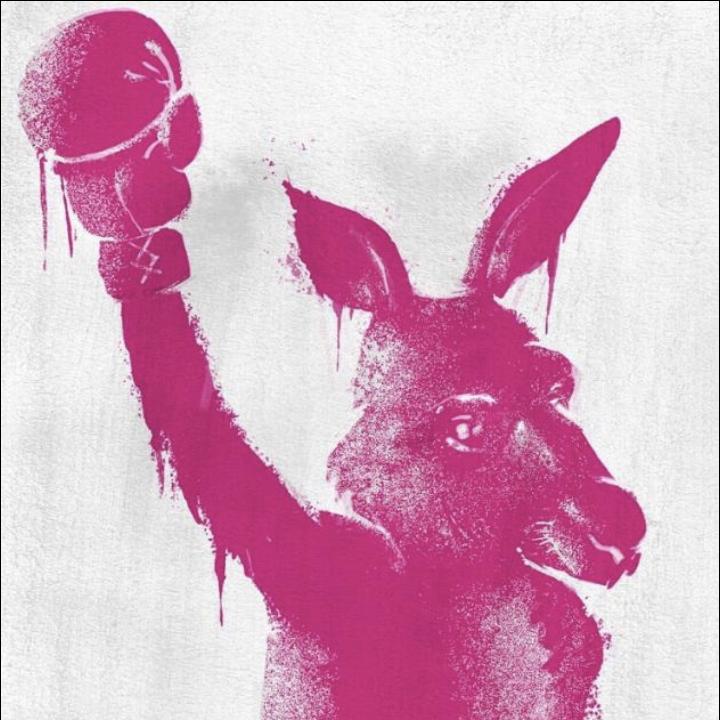 Fahrplan__event__banner_image_alt Die Känguru-Rebellion: Digital Independence Day