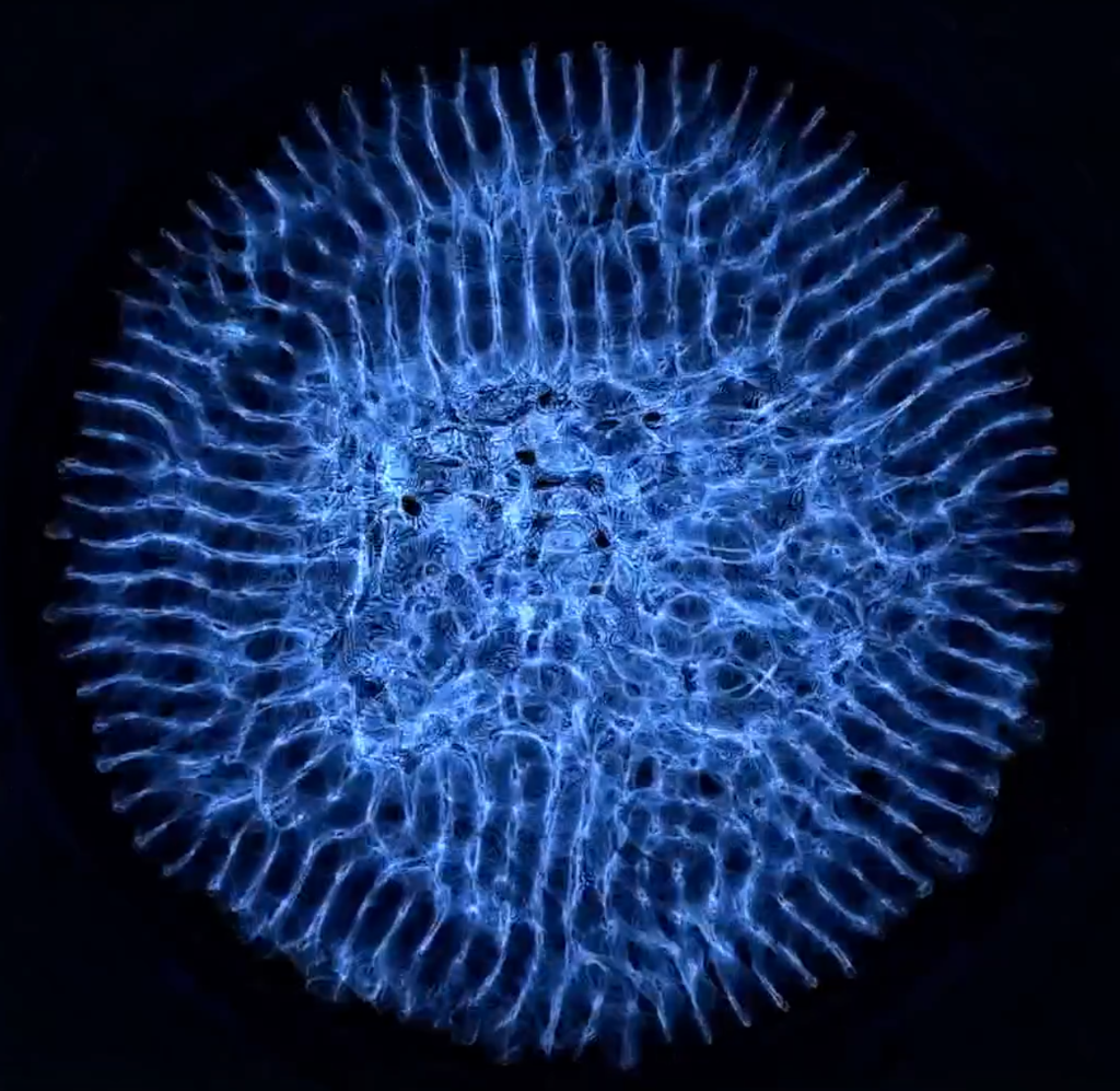 p/ff29278b433e/cymatics-avatar.png