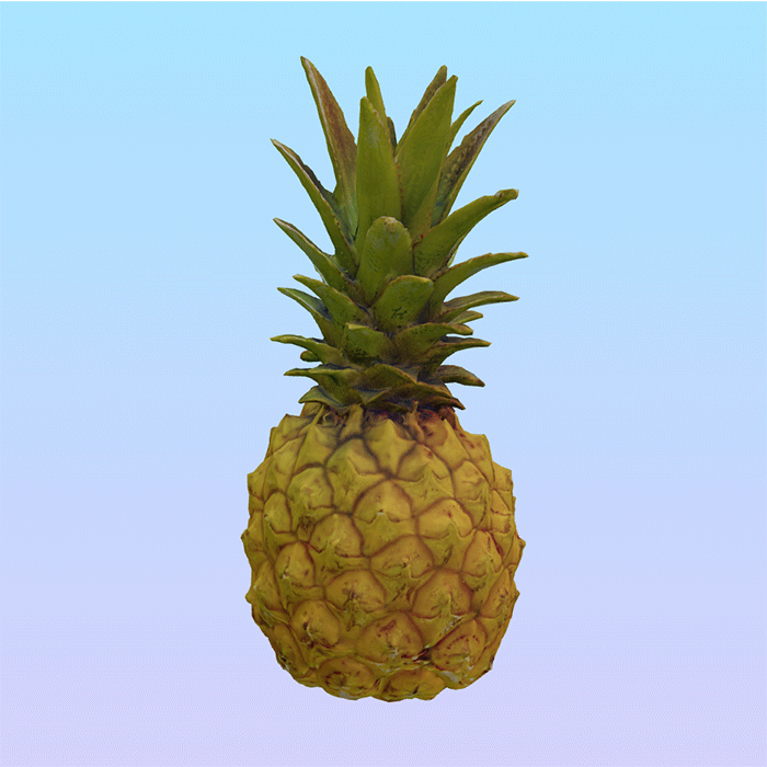 Avatar von Thomas Knüsel